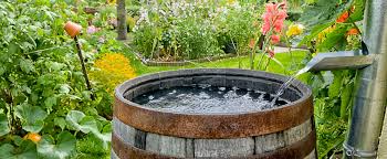Système de récupération d'eau de pluie